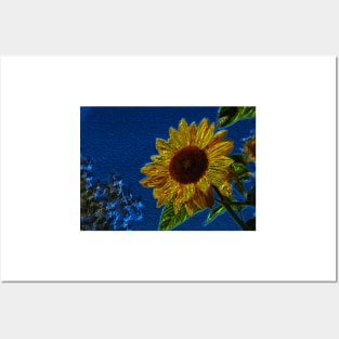 Sunflower20160201 Posters and Art